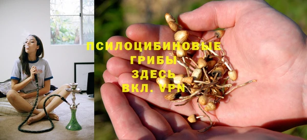 spice Армянск