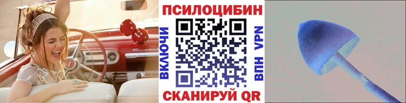 Галлюциногенные грибы мицелий  Купить где  Томмот 